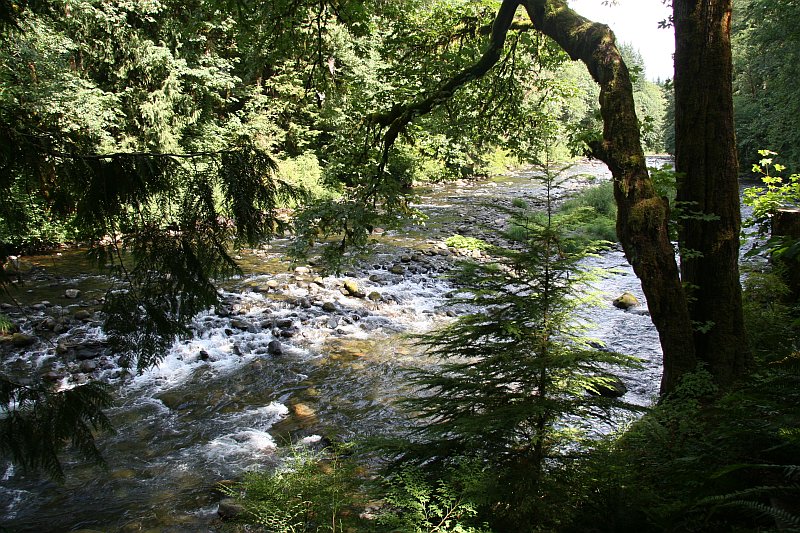 View from Salmon River Inn