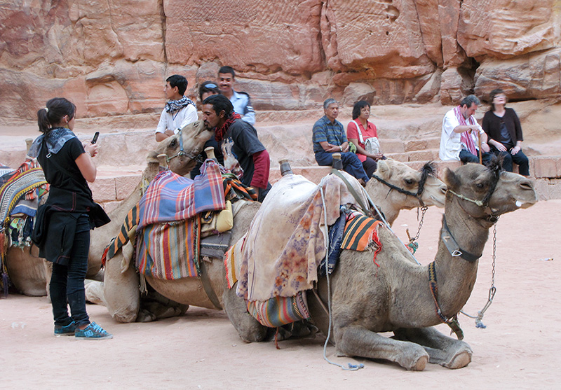 Plaza camels are the kissing kind.  (Used full 20x zoom.)