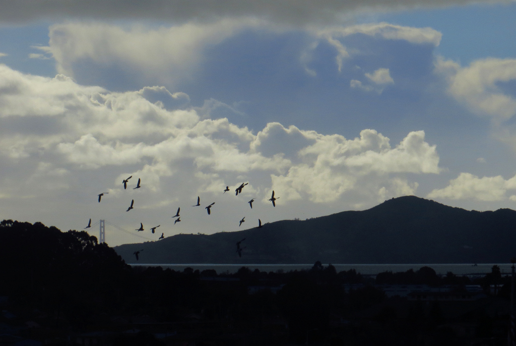 Marin/Golden Gate Bridge, late afternoon. 192mm-equiv, iso100.
