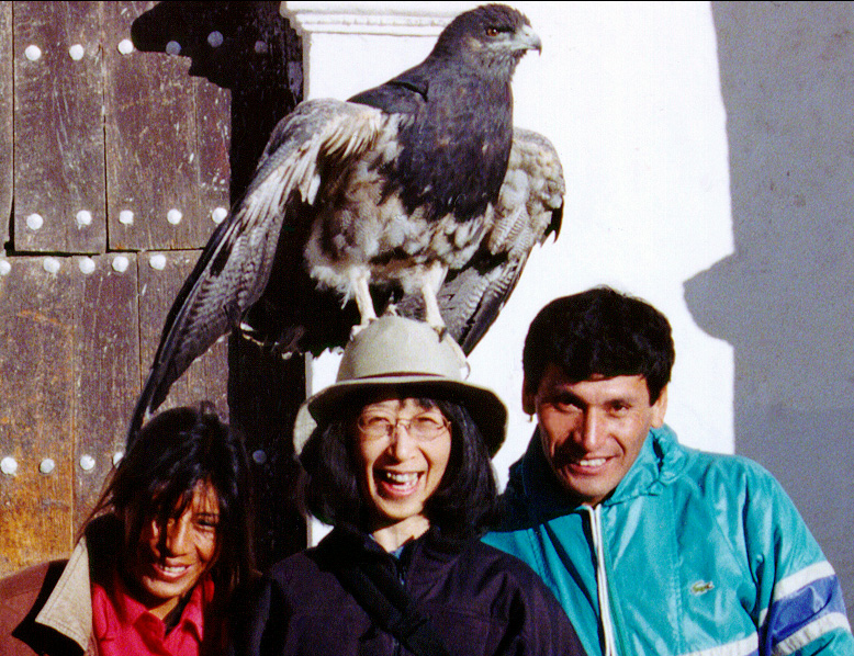 Thats a real bird.  Eagle ?