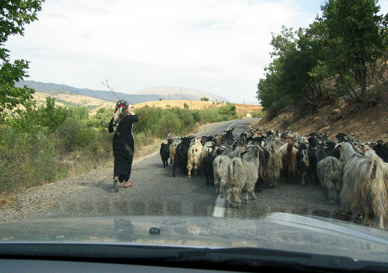 Road on the way up to Mt. Nemrut area