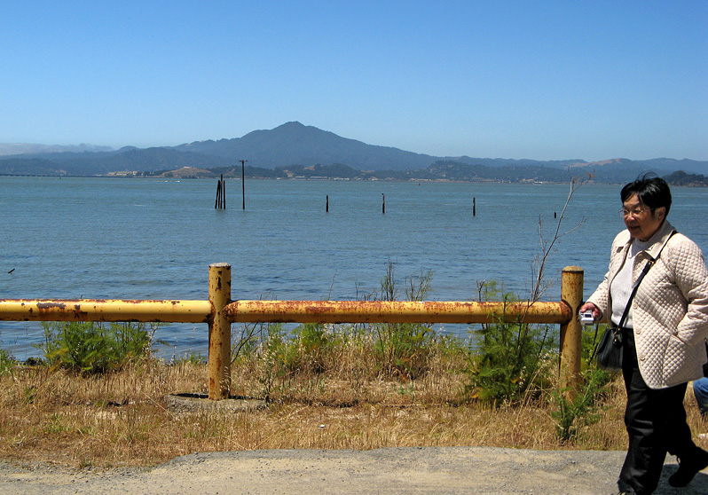 Mt. Tamalpais and Eleanor