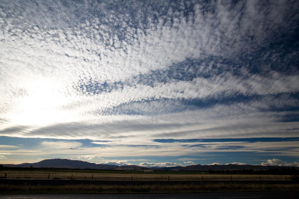 cheviots sky