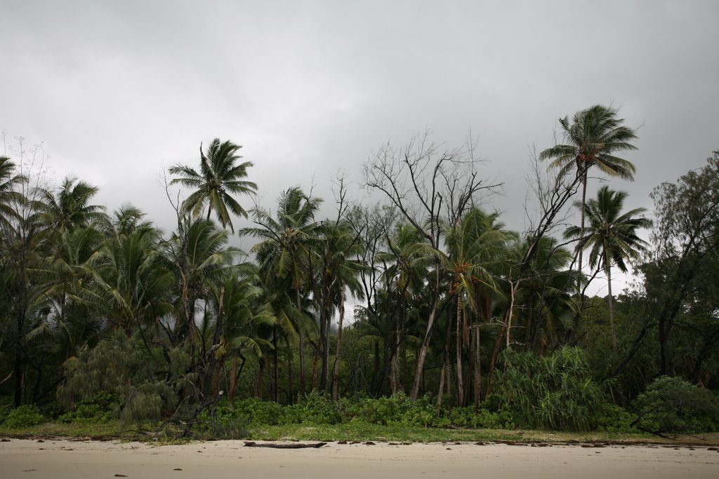 cape tribulation