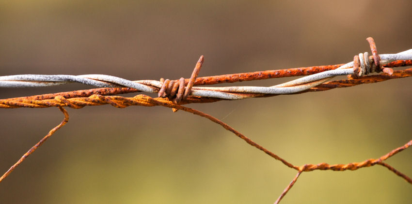 Barbed Finger - man made and monstrous