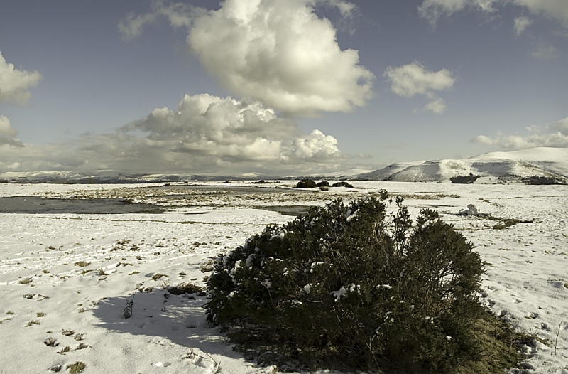 a winters scene
