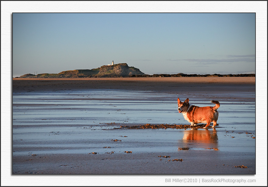 Mack and the Lighthouse