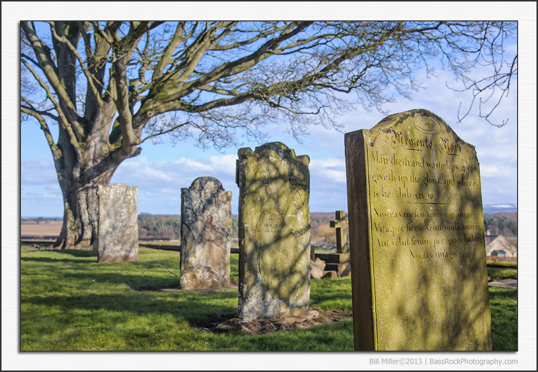 Old Gravestones