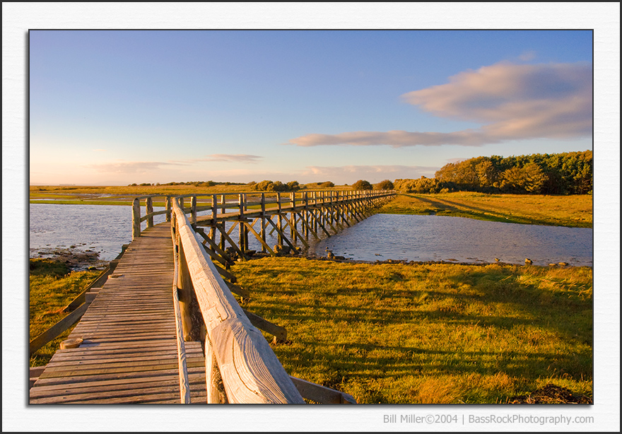 Aberlady Bay Nature Reserve