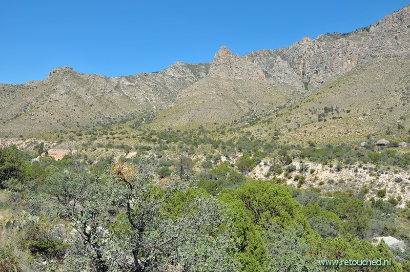 142 Texas Guadalupe Mountains NP.JPG