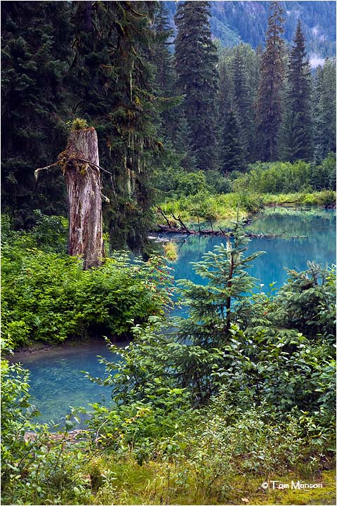 Emerald Pool