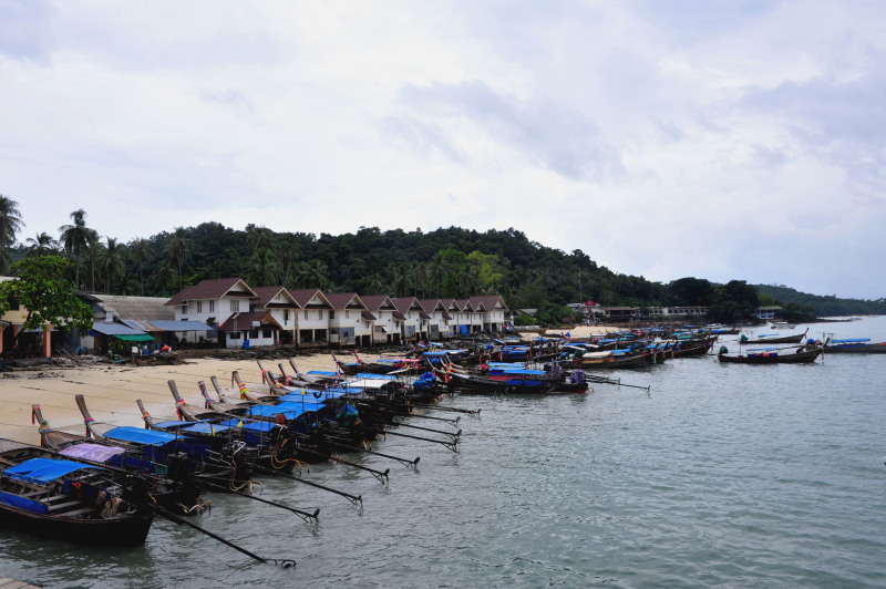 DSC_4975c.jpg