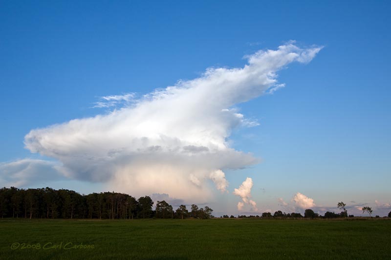 Natures Explosive Beauty