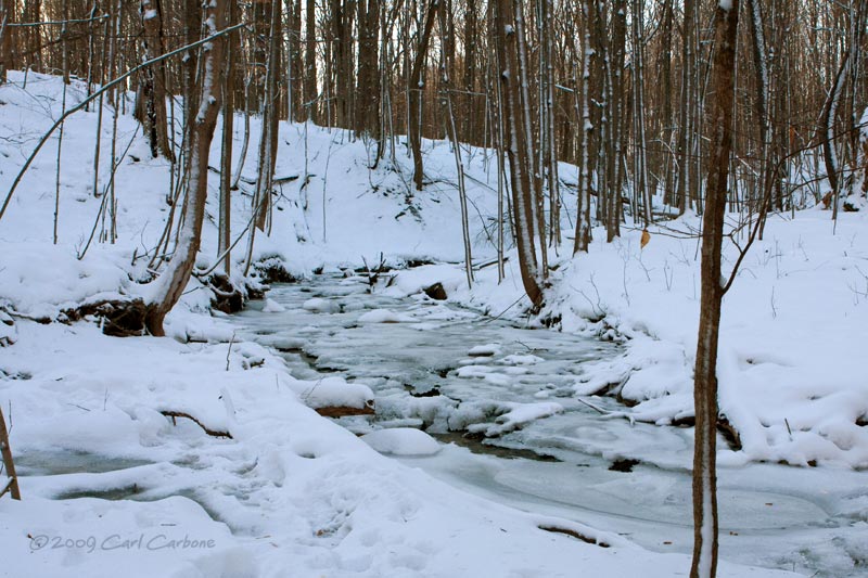 IMG_3221-Hunters_Creek.jpg