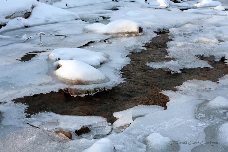 IMG_3224-Hunters_Creek.jpg