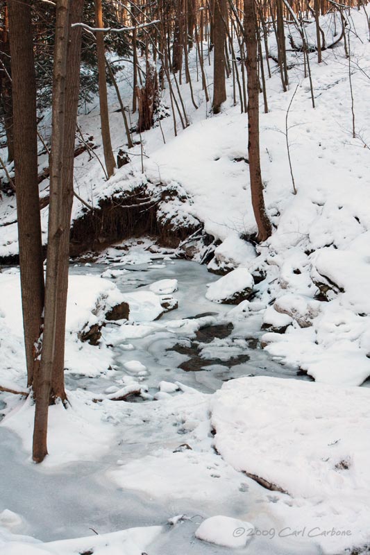 IMG_3226-Hunters_Creek.jpg