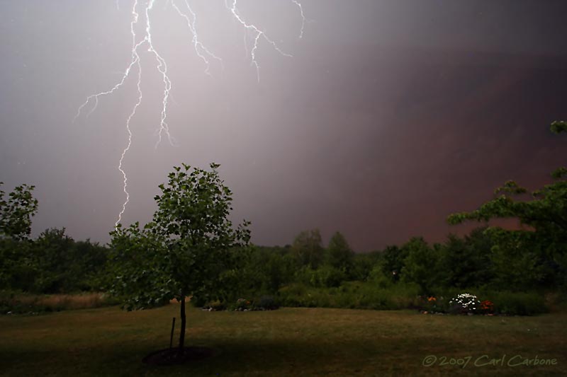 IMG_8528_lightning.jpg