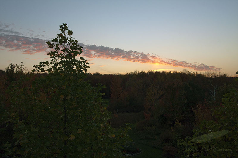 _MG_0765.jpg