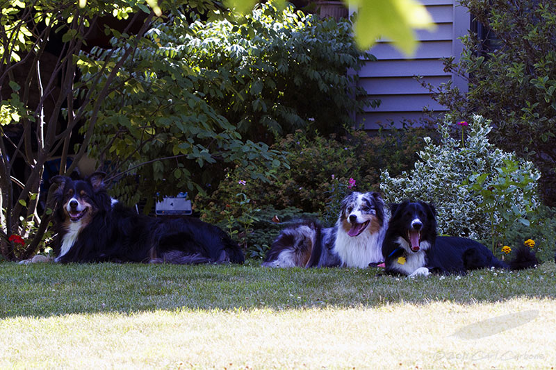 07/22/2011 - _MG_2646.jpg
