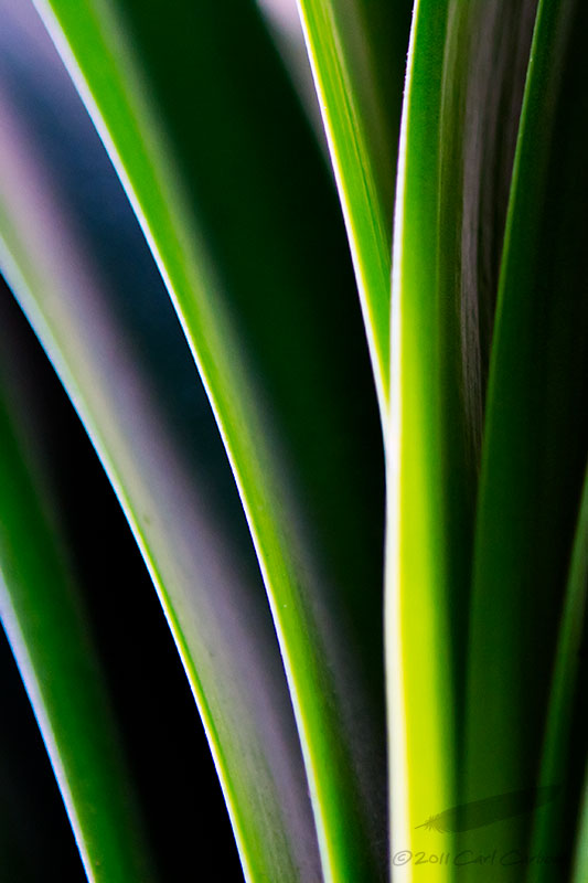 10/02/2011 - _MG_3914.jpg