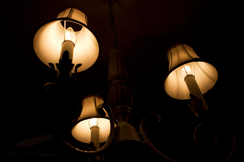 10/03/2011 - _MG_3898.jpg