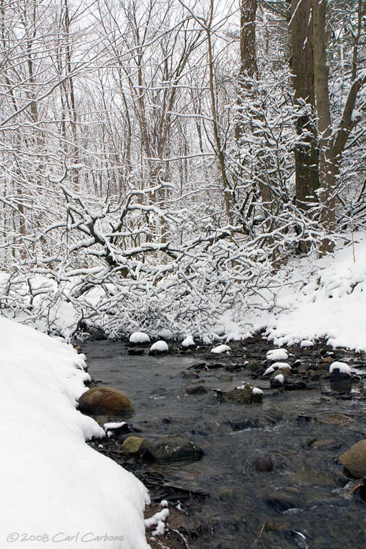 Spring Snow