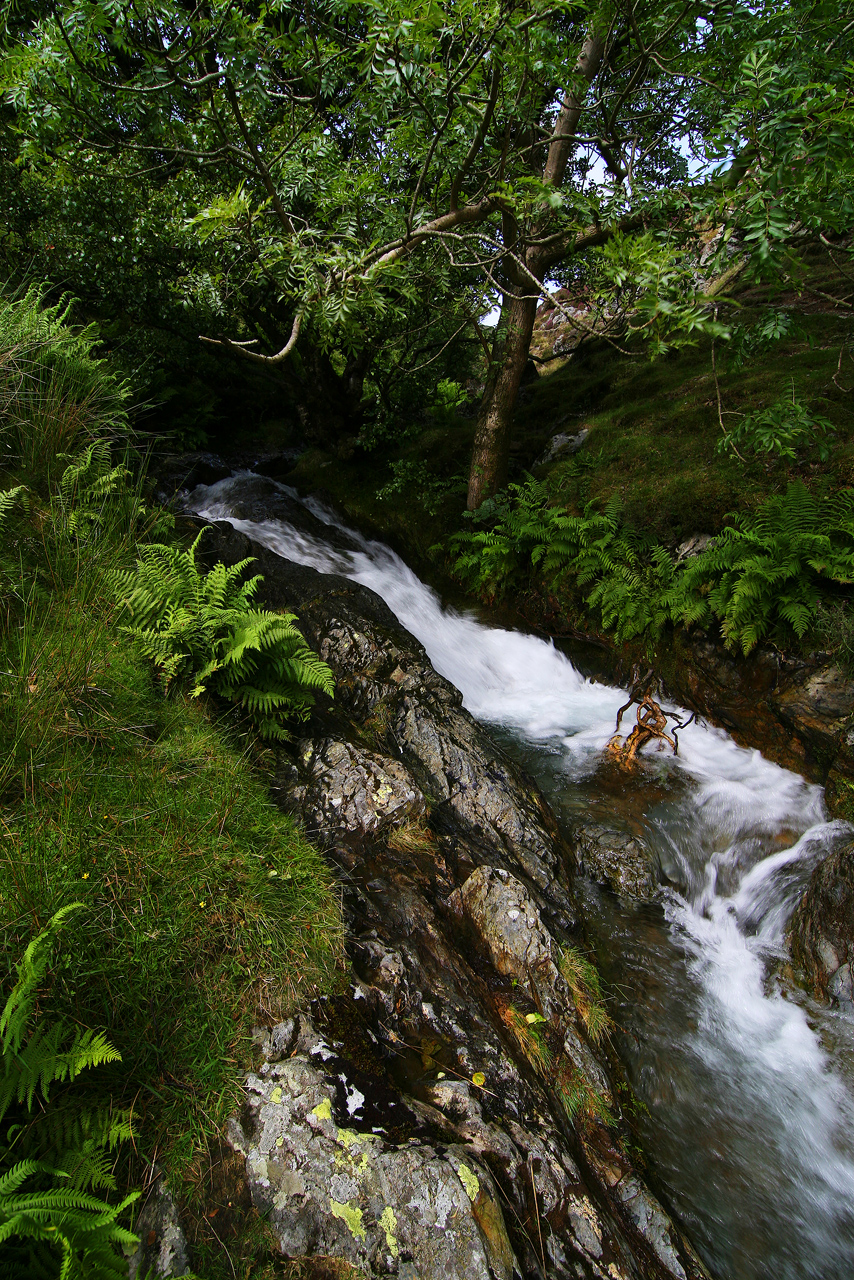 Stoneycroft Gill