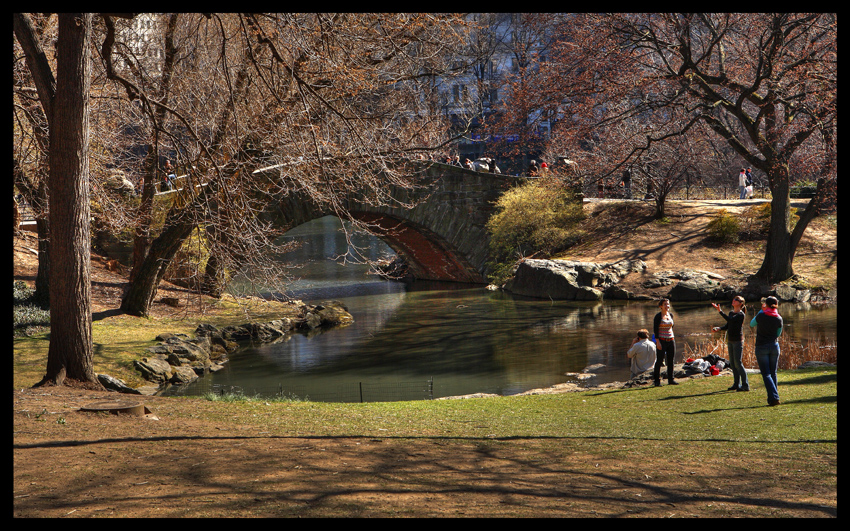 Central Park Pond -Looking South