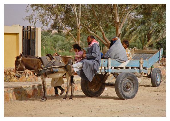 Siwa Family on the move