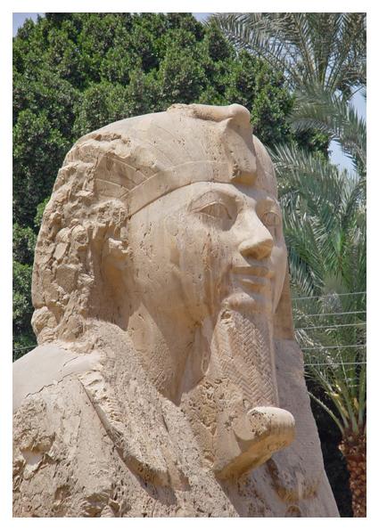 The Head of the Alabaster Sphinx, Memphis