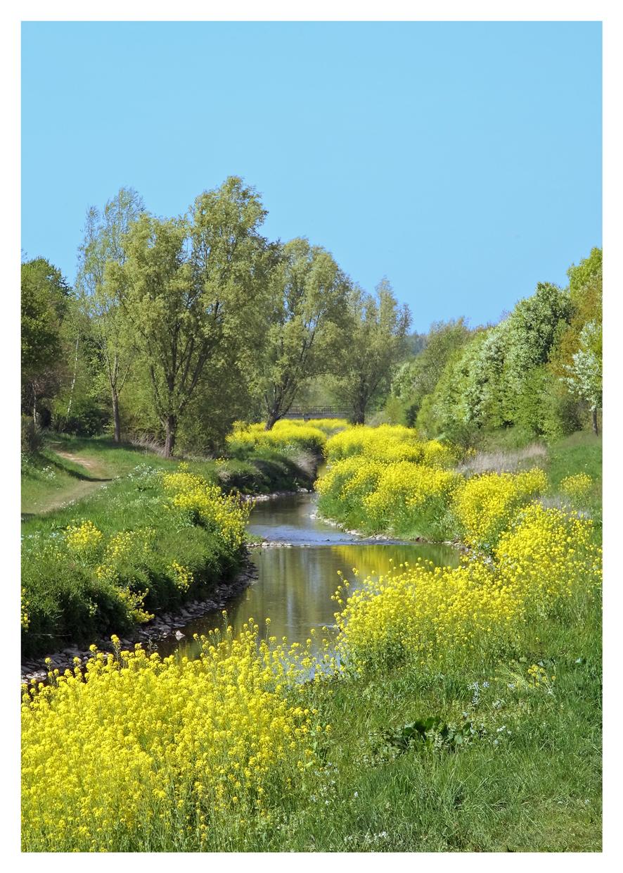 Spring near the Vloedgraaf