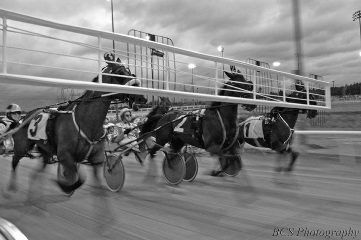 Blur At The Starting Line