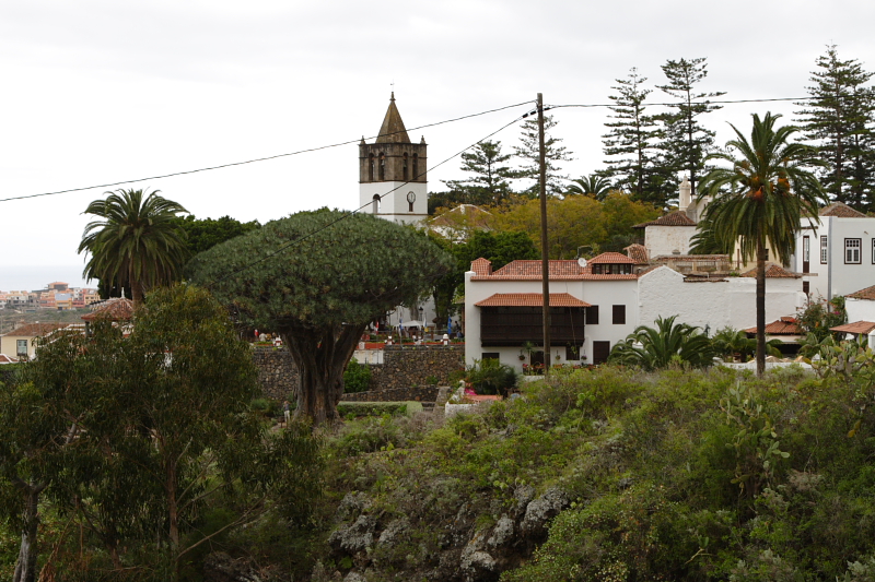 DPP_0009.JPG