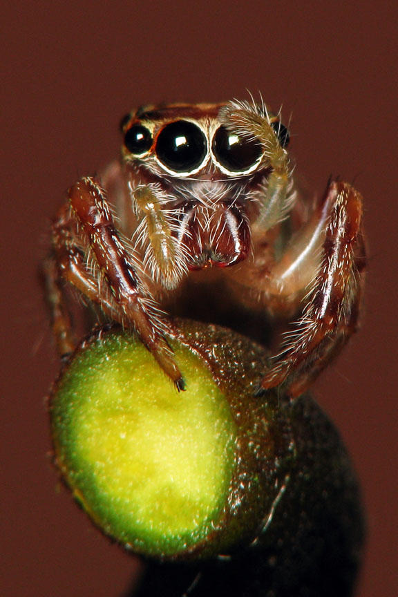 My Eyes.jpg