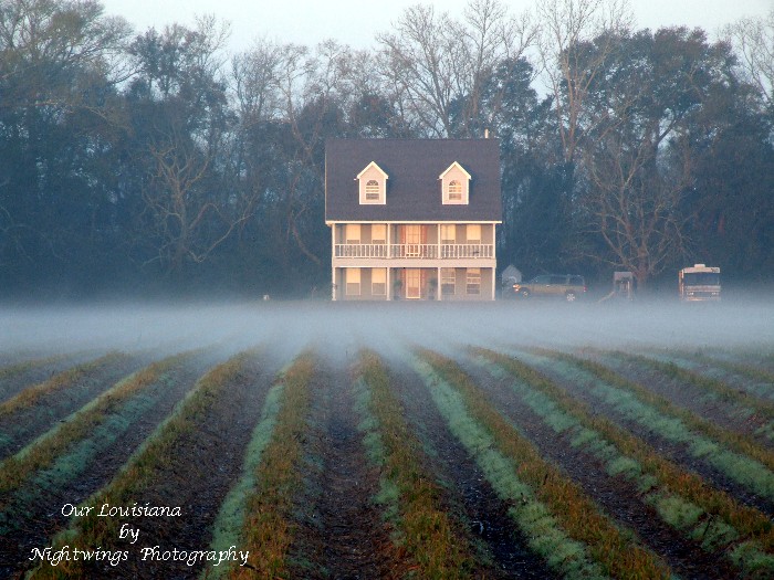 Vermilion Parish - Maurice - home