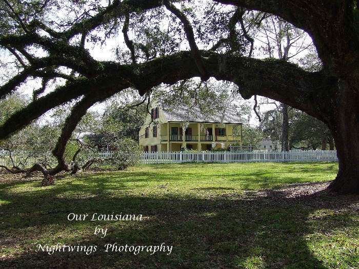 St Martin Parish - St Martinville -  Longfellow Evangeline State park  Olivier House