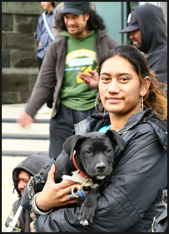 Puppy at Open Air Concert