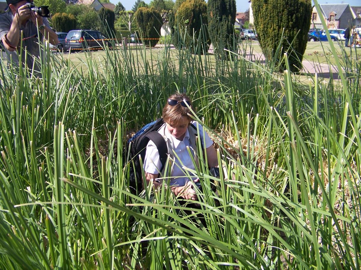 abri de chasse  laffut.JPG
