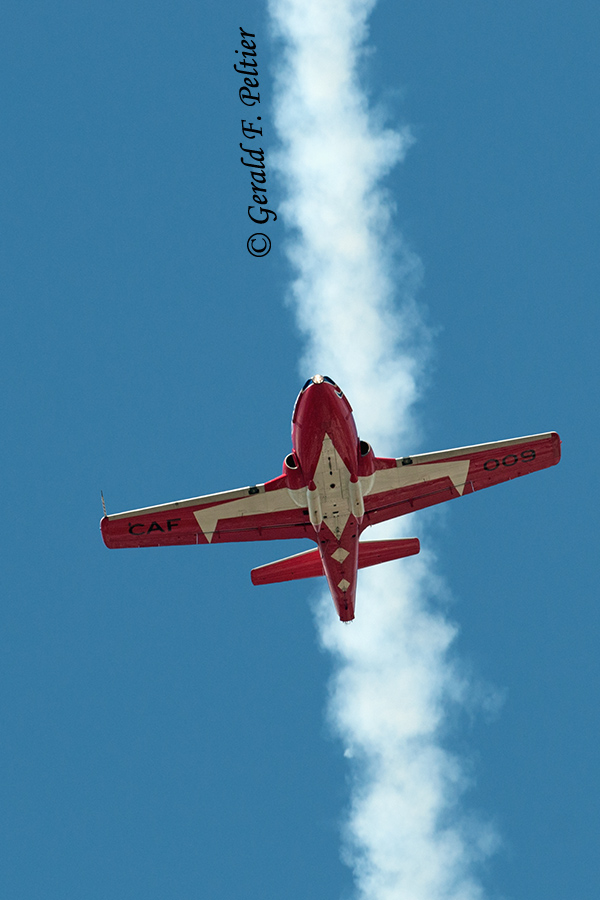   Snowbird   12