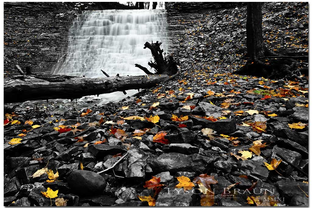 Washboard Falls in October