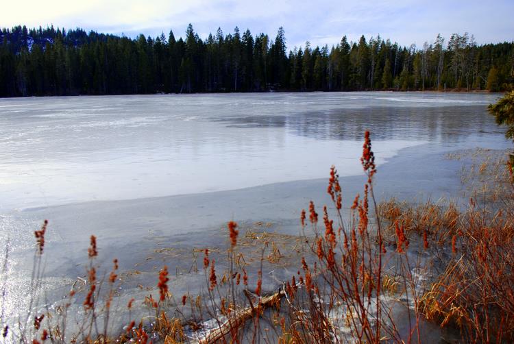DSC_0443.jpg