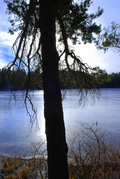 DSC_0607.jpg