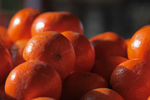 The Oranges