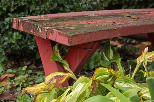 This Old Bench