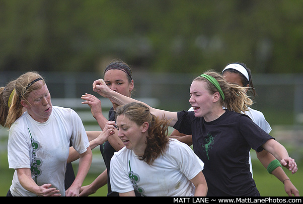 DSC_12_5546.jpg
