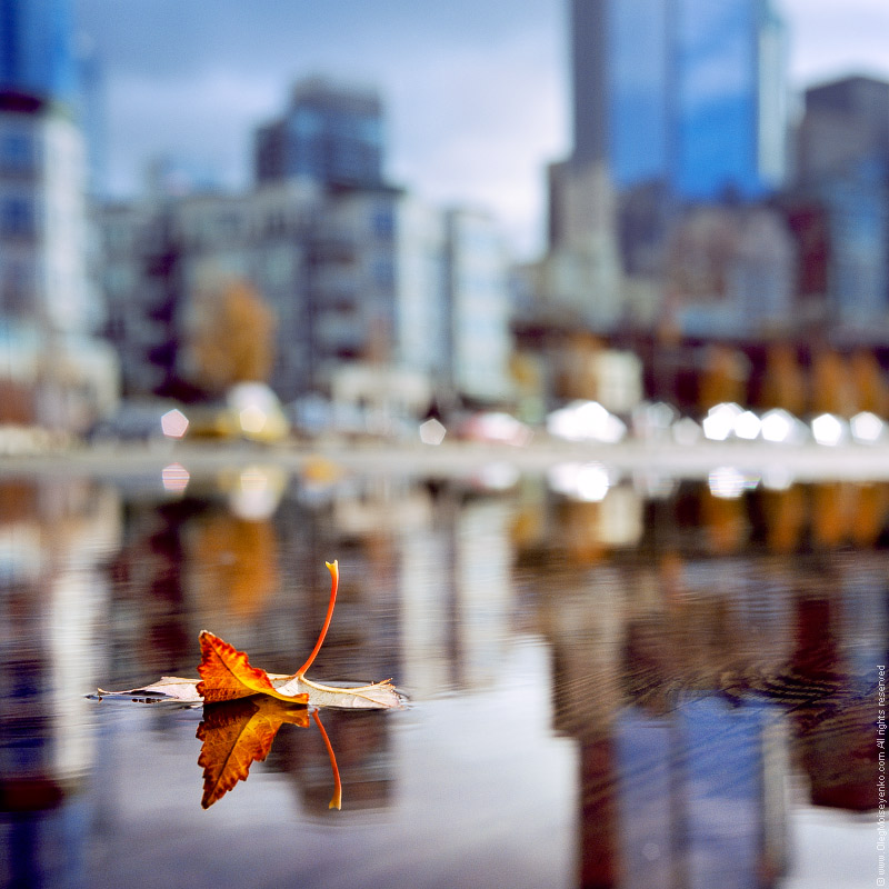 Pier reflection, Seattle, WA