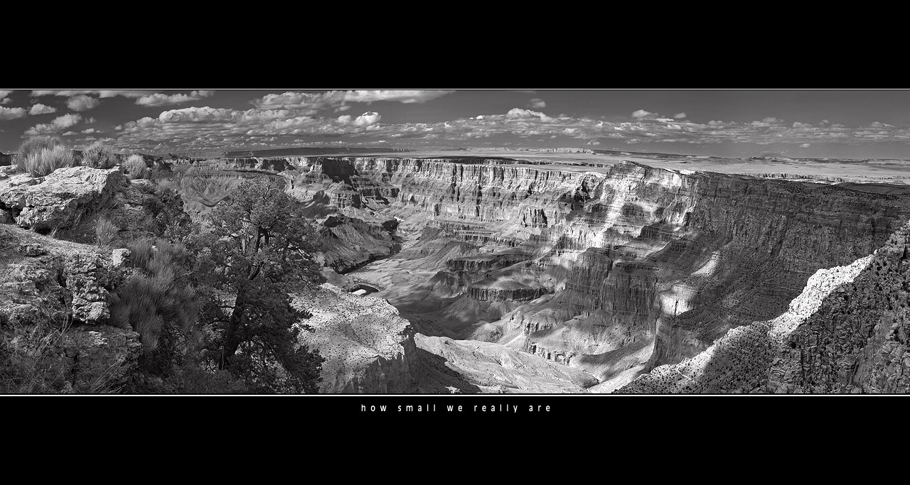 Grand Canyon taken from Moran Point /b&w, 260Kb/