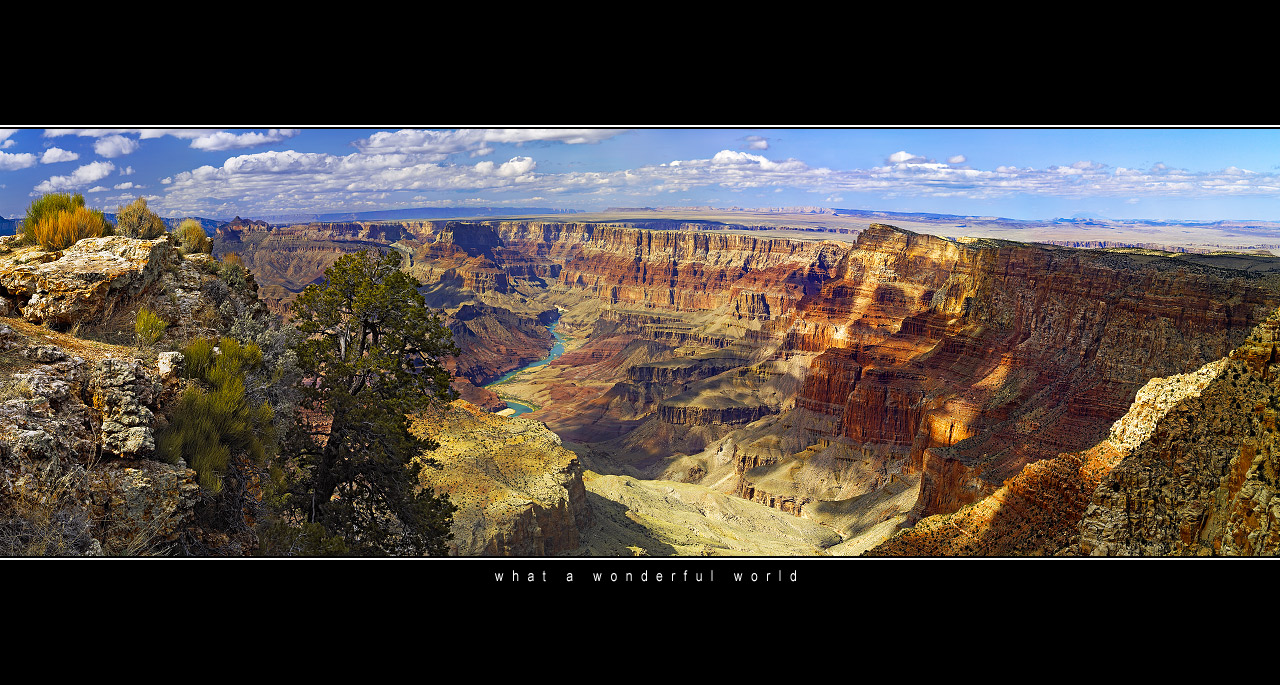 Grand Canyon taken from Moran Point /color, 400Kb/