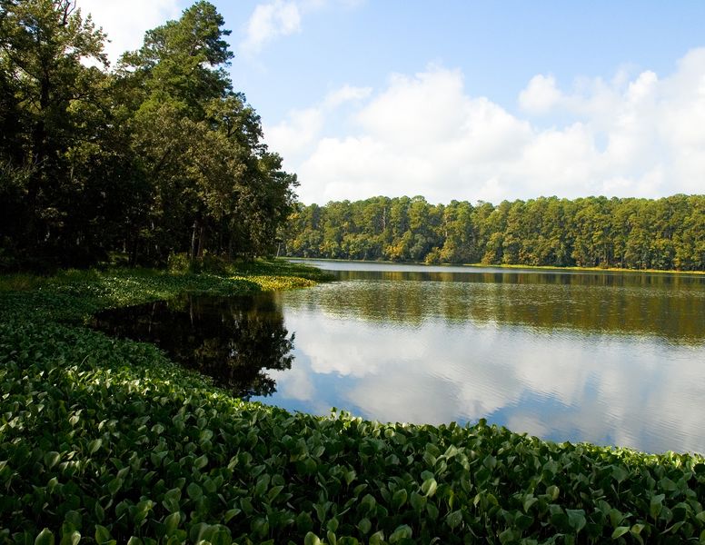 Lake Raven at Praire Branch Camp Area