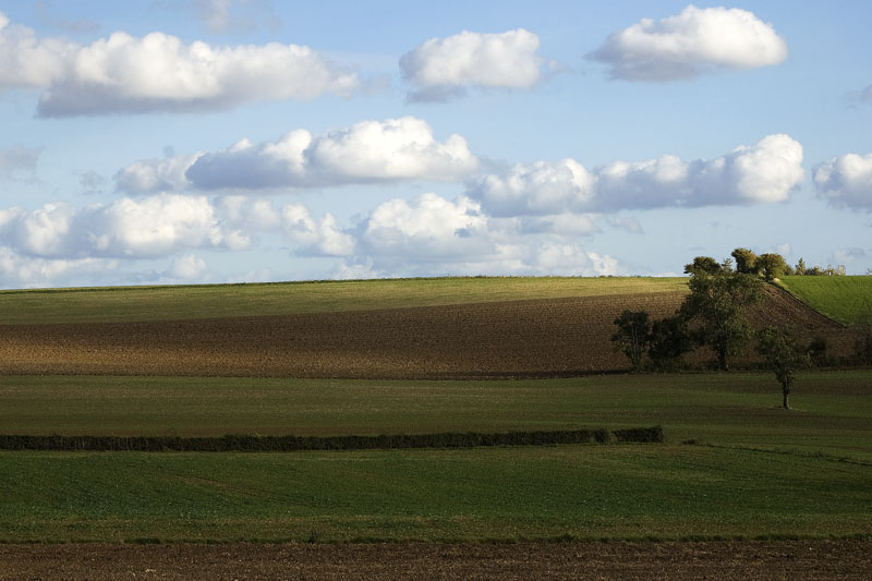 Valle de la Loire, 2008